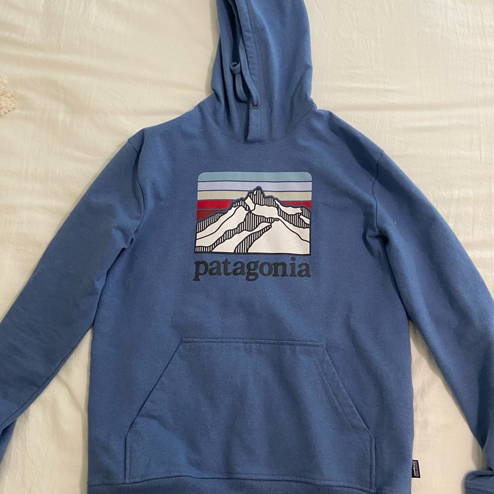 Patagonia Sweatshirt